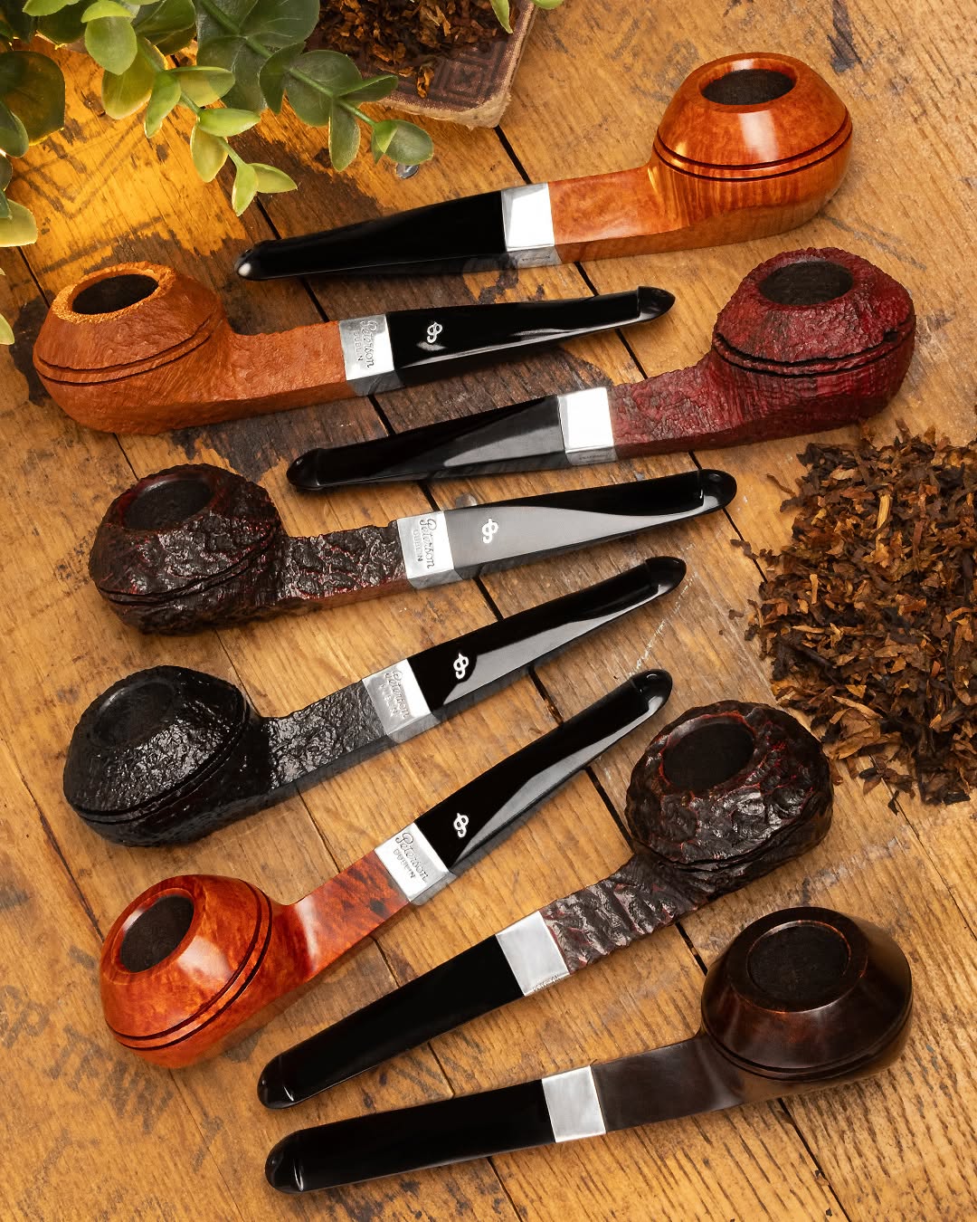 Edice Peterson Pipe of the Year: každoročně očekávaná dýmka pro sběratele